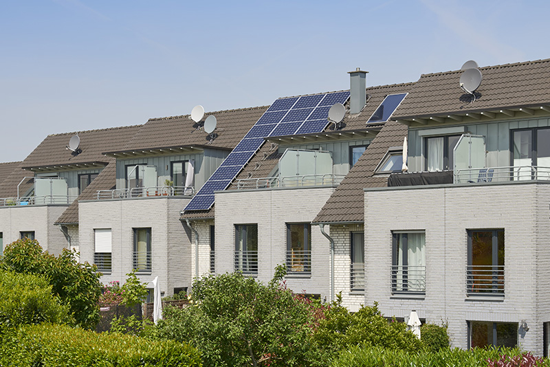 Women Having a Meeting